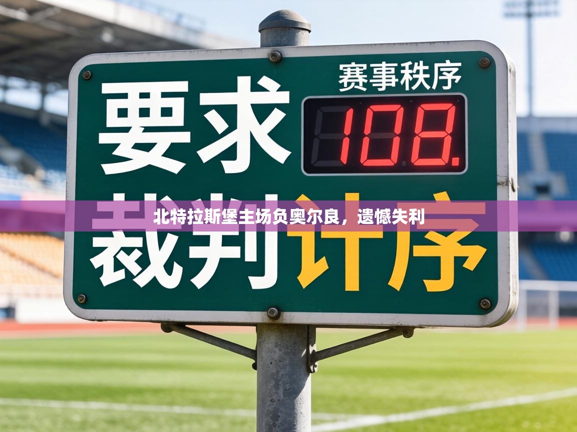 北特拉斯堡主场负奥尔良，遗憾失利  第2张