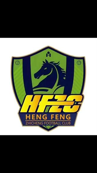 爱游戏官方入口-关于贵州恒丰智诚客场迎来胜利，士气大振的信息